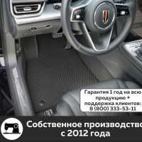 Автомобильные коврики EVA на Hongqi H5 II (2022->)